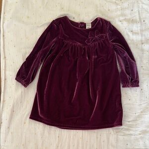Carter's Velvet Dress with Bow - Rich Purple